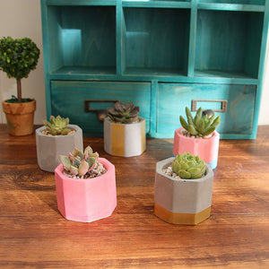 3 Holes Round Geometric Polygonal Concrete Flower Pot Vase Mold Cactus Cement Molds Silicone DIY Aromatherapy Candle Decoration